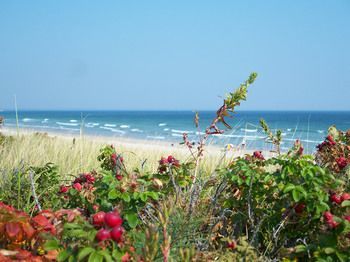 Holiday Guest House Bed & Breakfast Bed & Breakfast 3*
