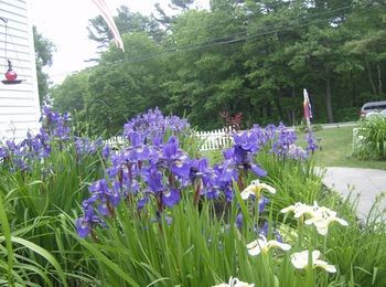 Holiday Guest House Bed & Breakfast 3*